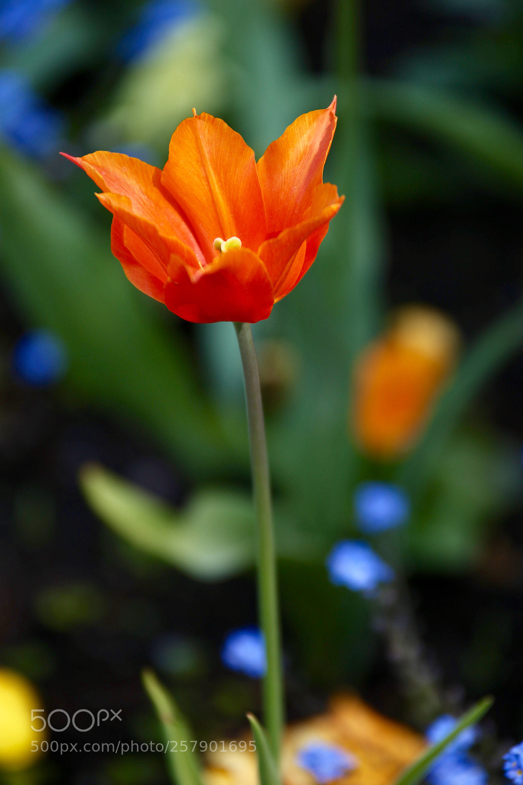 Canon EOS 6D sample photo. Untitled photography