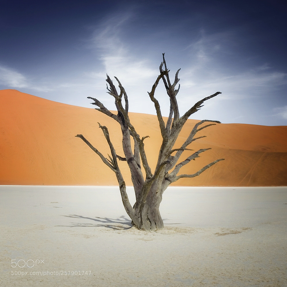 Canon EOS 6D sample photo. Dead vlei photography