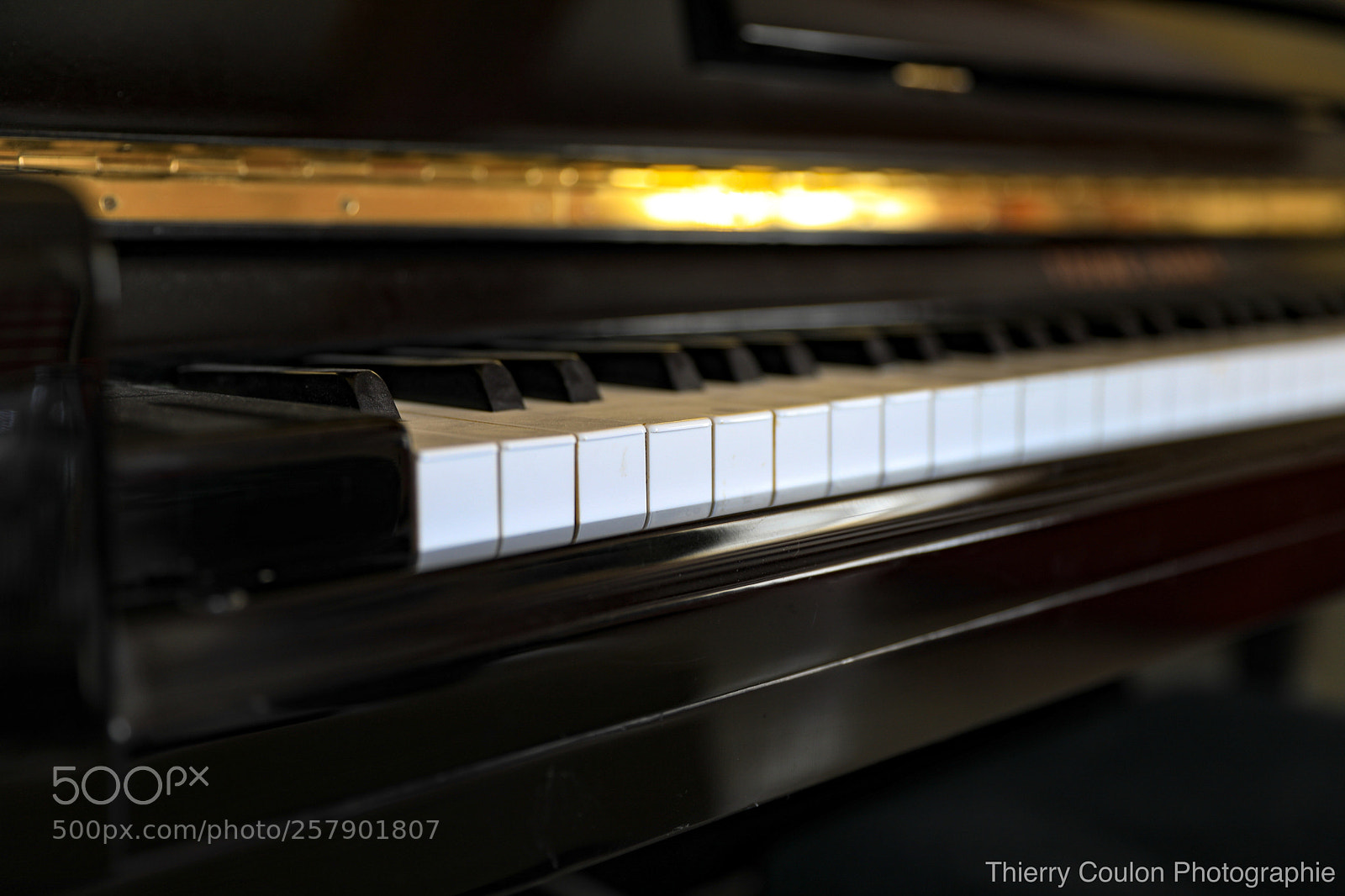 Canon EOS 5D Mark IV sample photo. Voici la petite touche photography