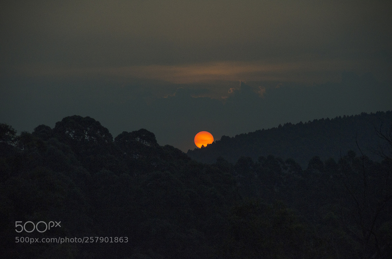 Nikon D5100 sample photo. The same sun for photography