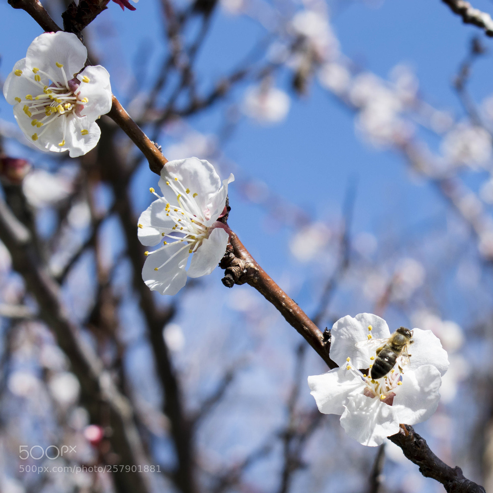 Nikon D5300 sample photo. Portfolio photography