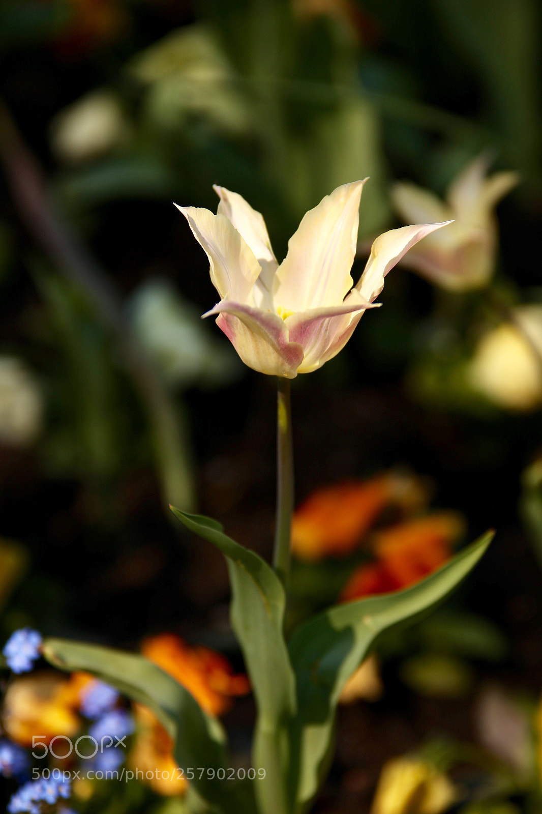 Canon EOS 6D sample photo. Untitled photography
