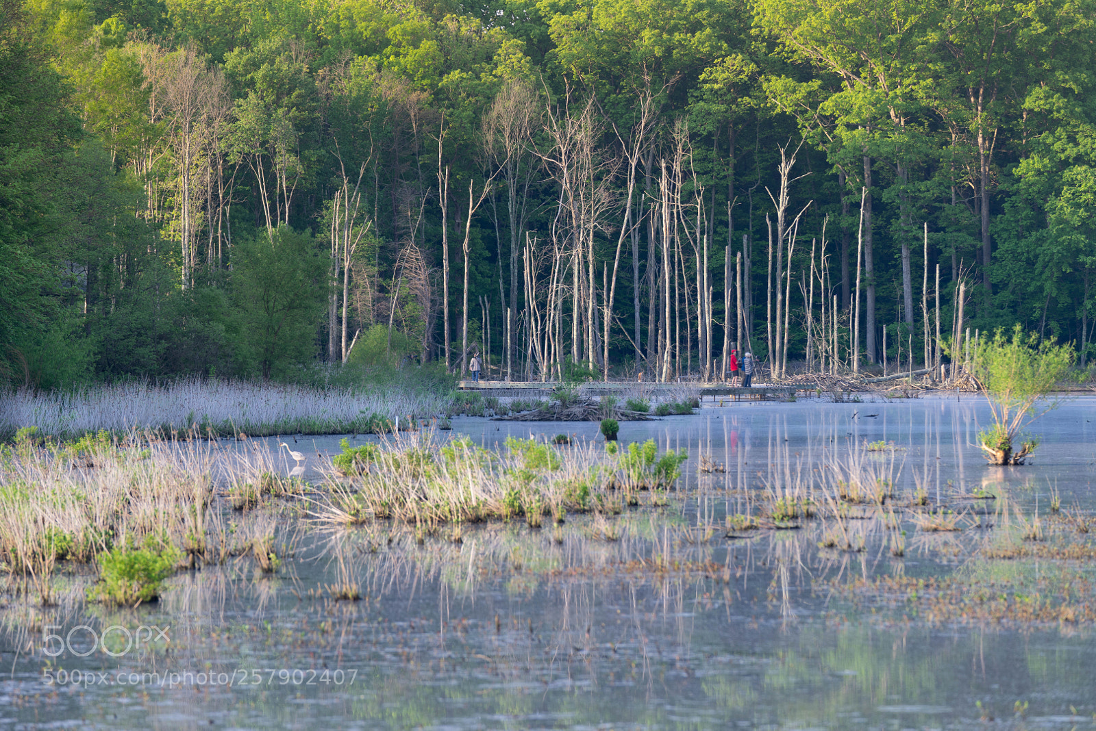 Sony a7R sample photo. Test shot photography