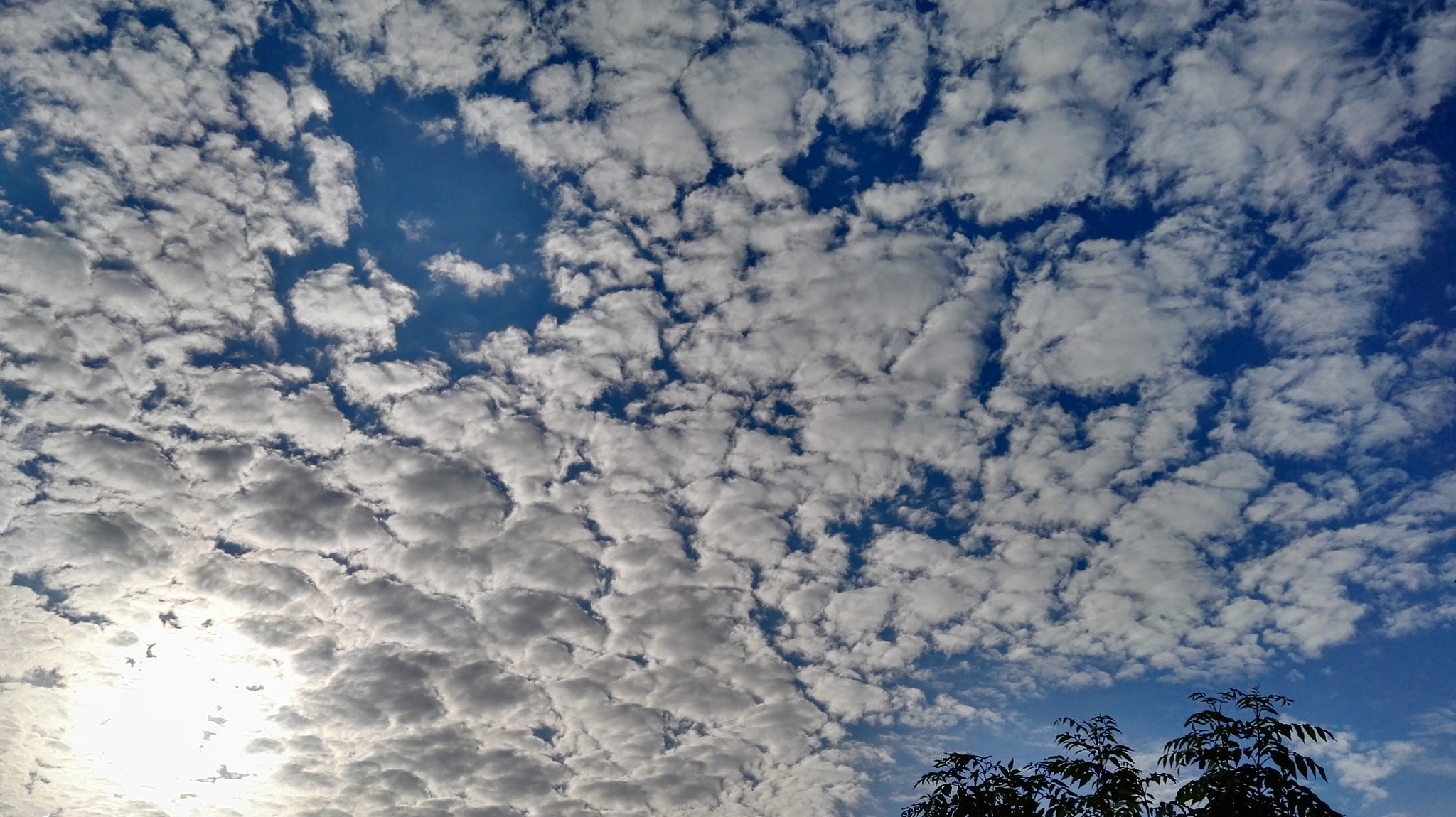 HUAWEI P8 sample photo
