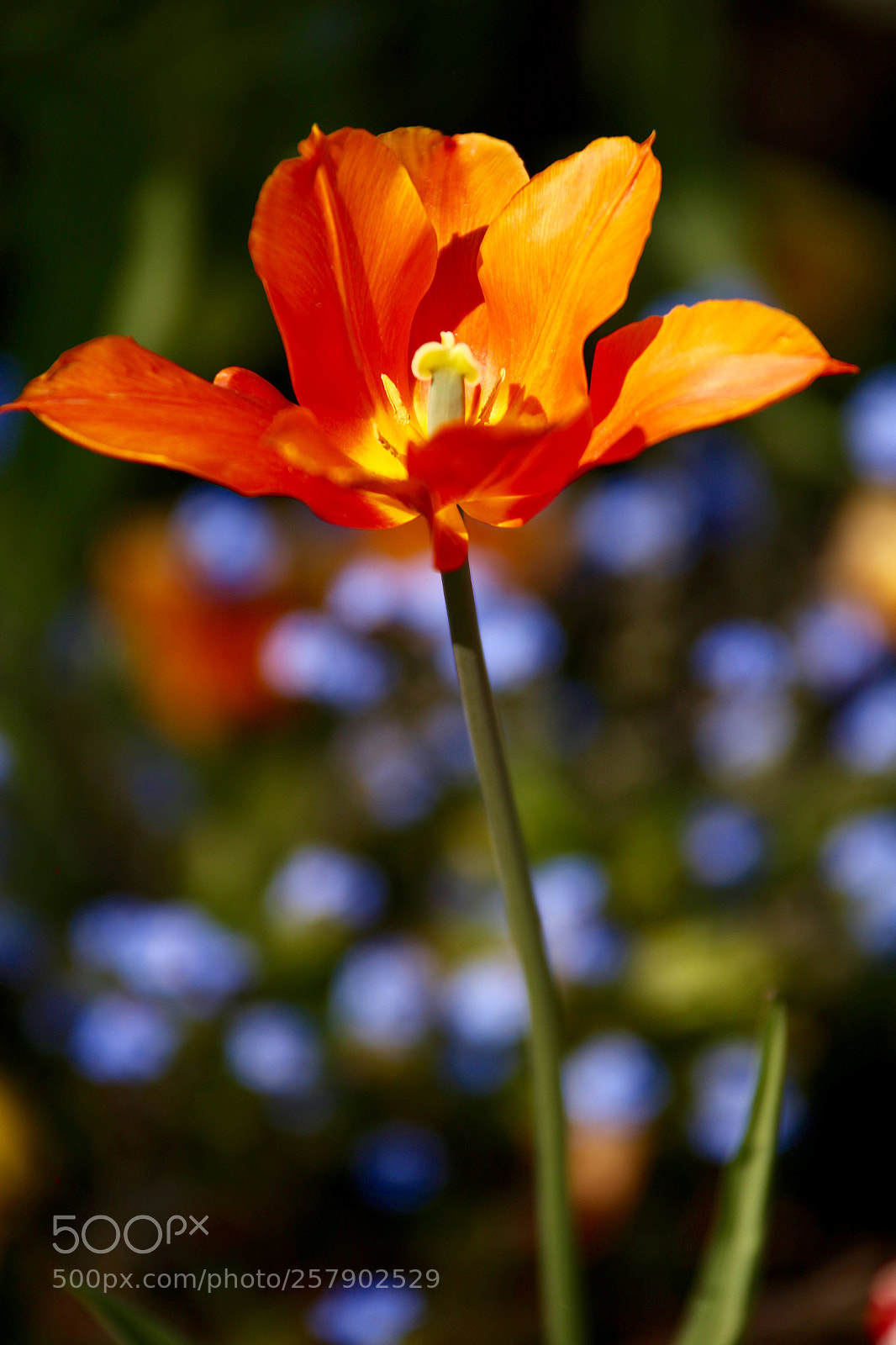 Canon EOS 6D sample photo. Untitled photography