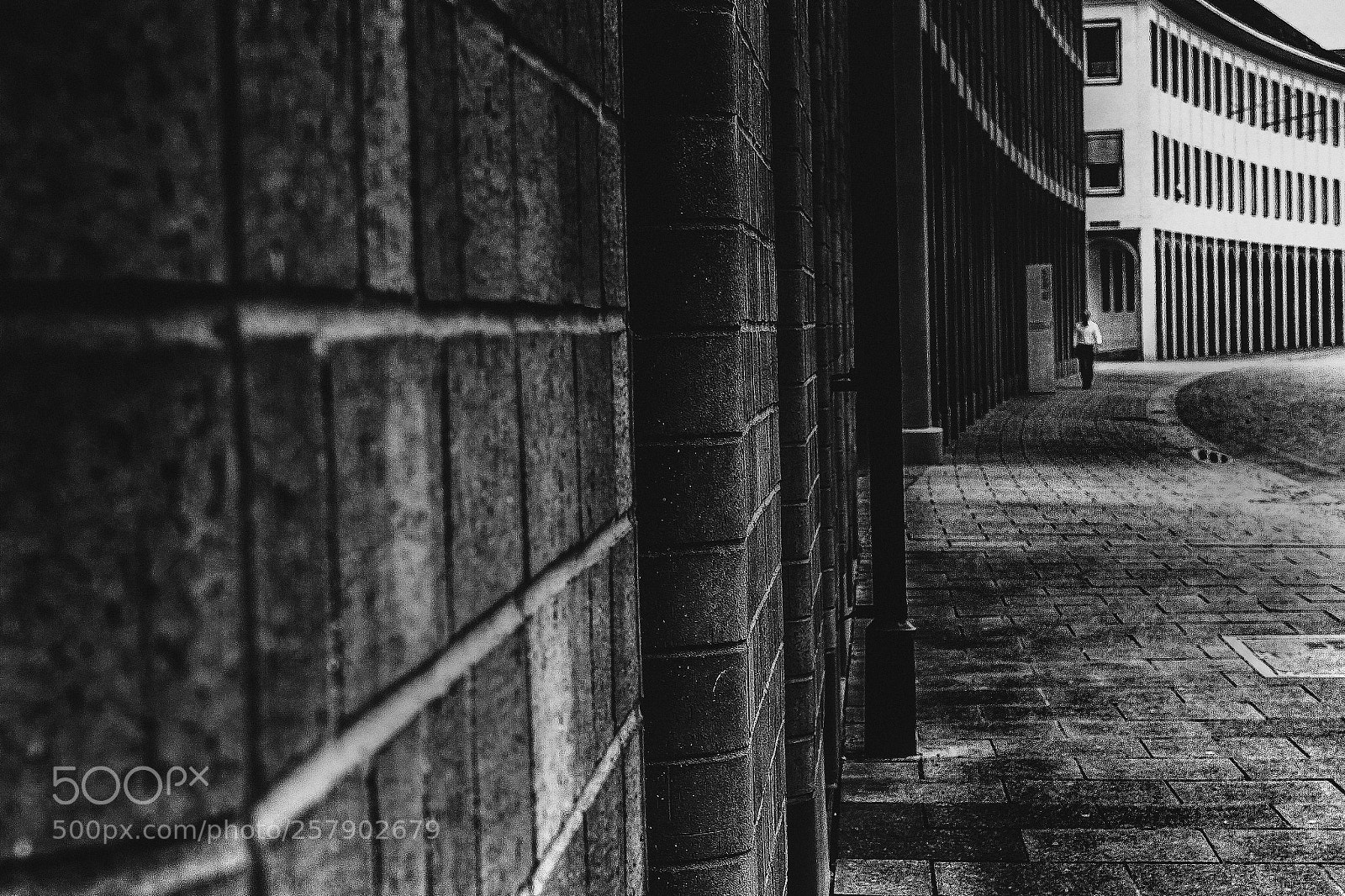 Canon EOS 7D sample photo. The path of ordinary photography