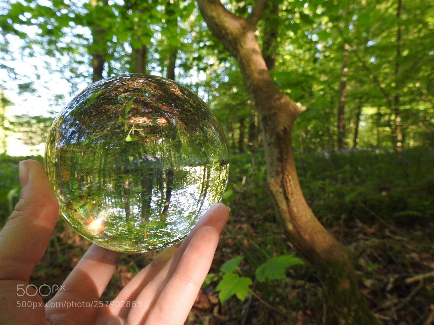 Nikon Coolpix P900 sample photo. Witherslack  photography