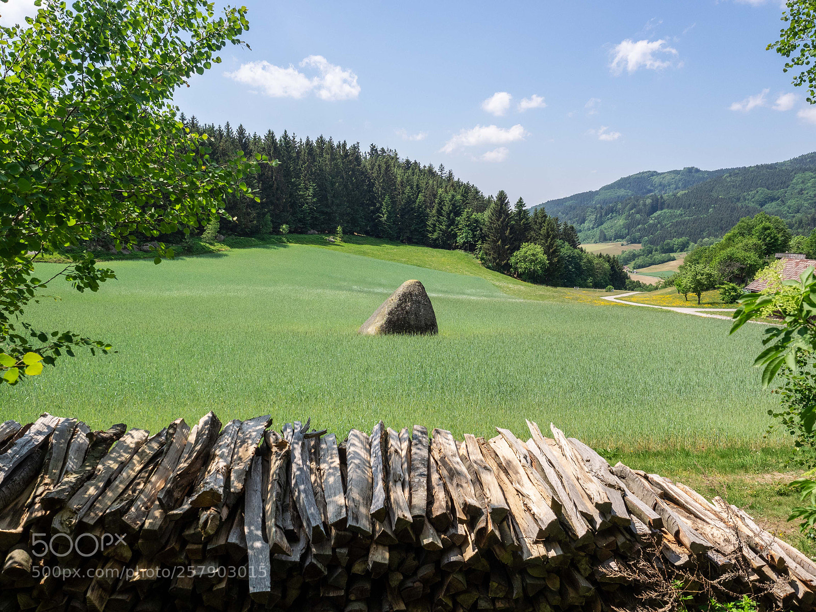 Olympus OM-D E-M1 sample photo. Kornmandl aus waldviertlergranitstein photography