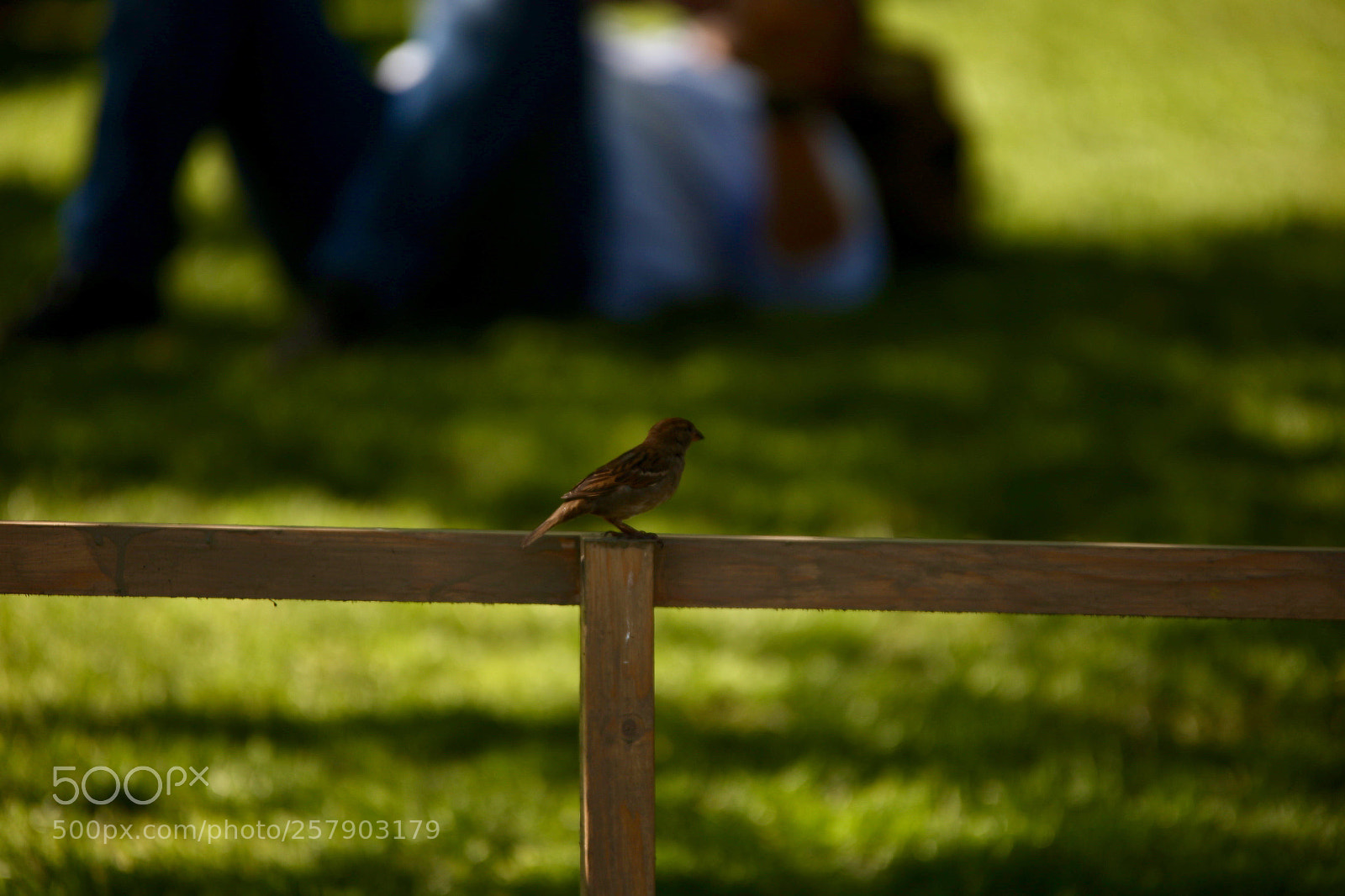 Canon EOS 6D sample photo. Untitled photography