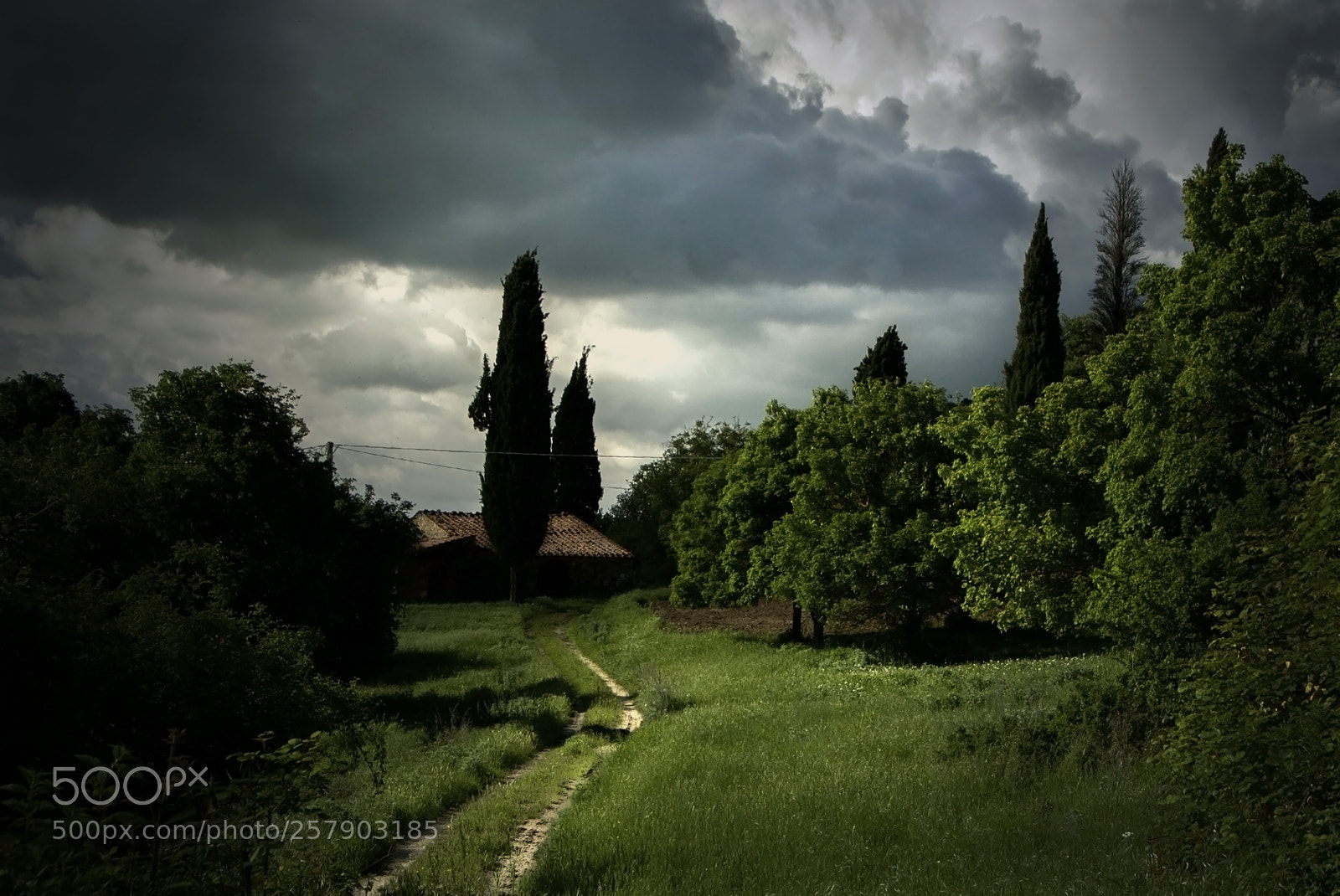 Nikon D610 sample photo. Find your way photography
