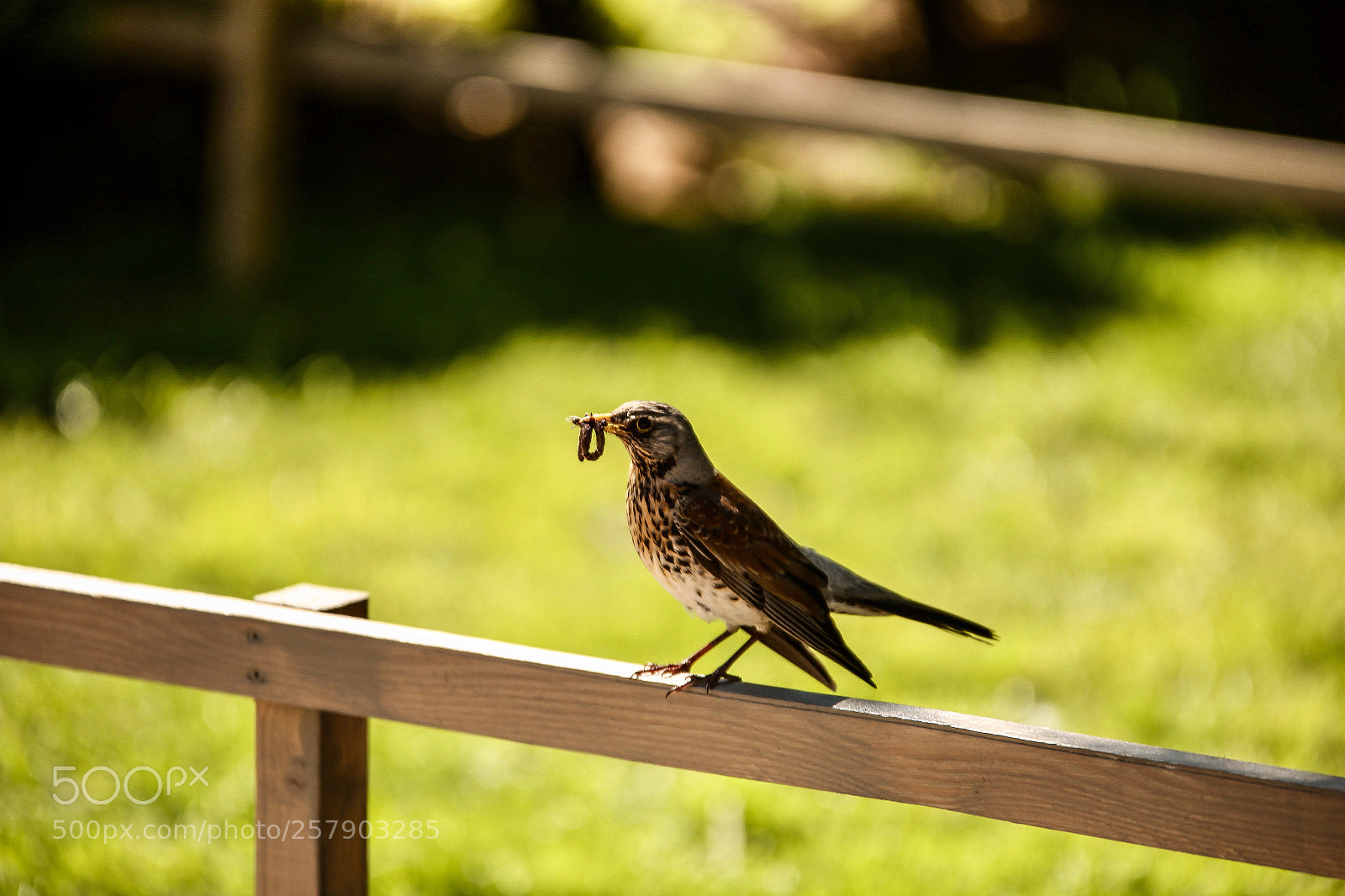 Canon EOS 6D sample photo. Untitled photography