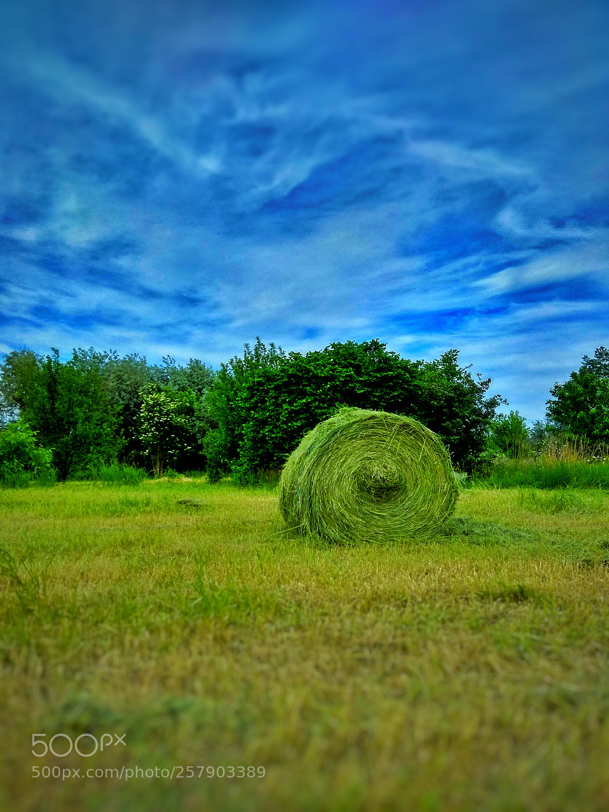 Xiaomi Redmi Note 4 sample photo. Untitled photography
