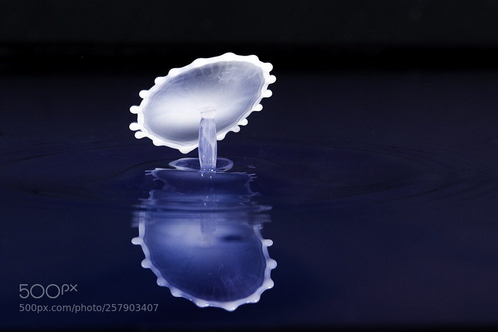 Nikon D850 sample photo. Milk reflection photography