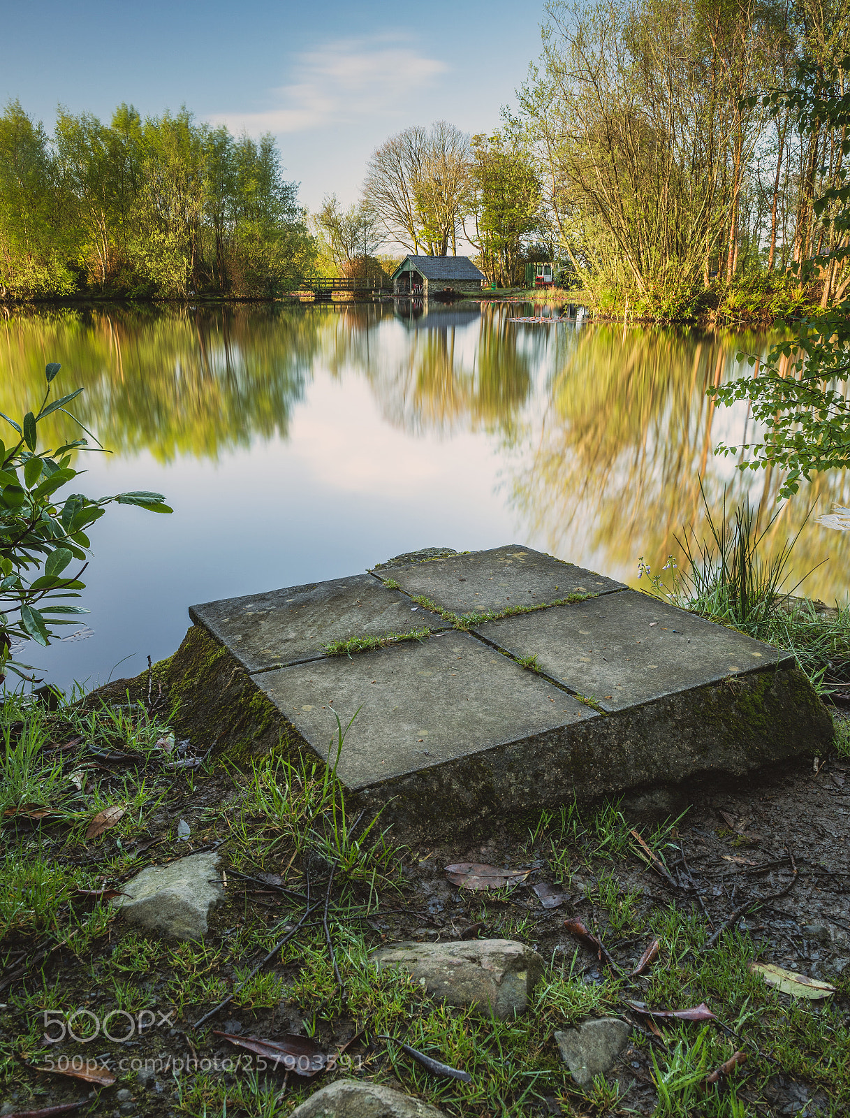 Nikon D750 sample photo. Bron eifion fishing lake photography