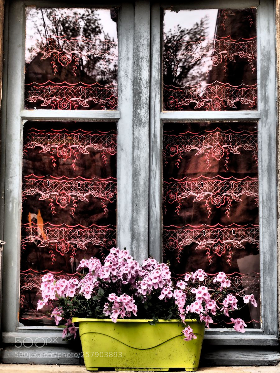 Olympus OM-D E-M5 II sample photo. Les rideaux rouges photography