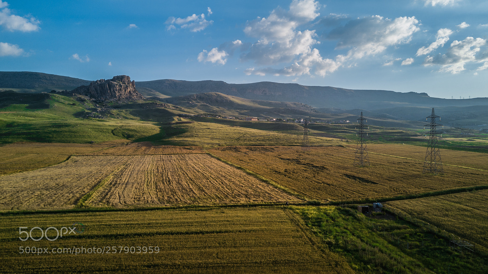 DJI FC220 sample photo. End of spring photography