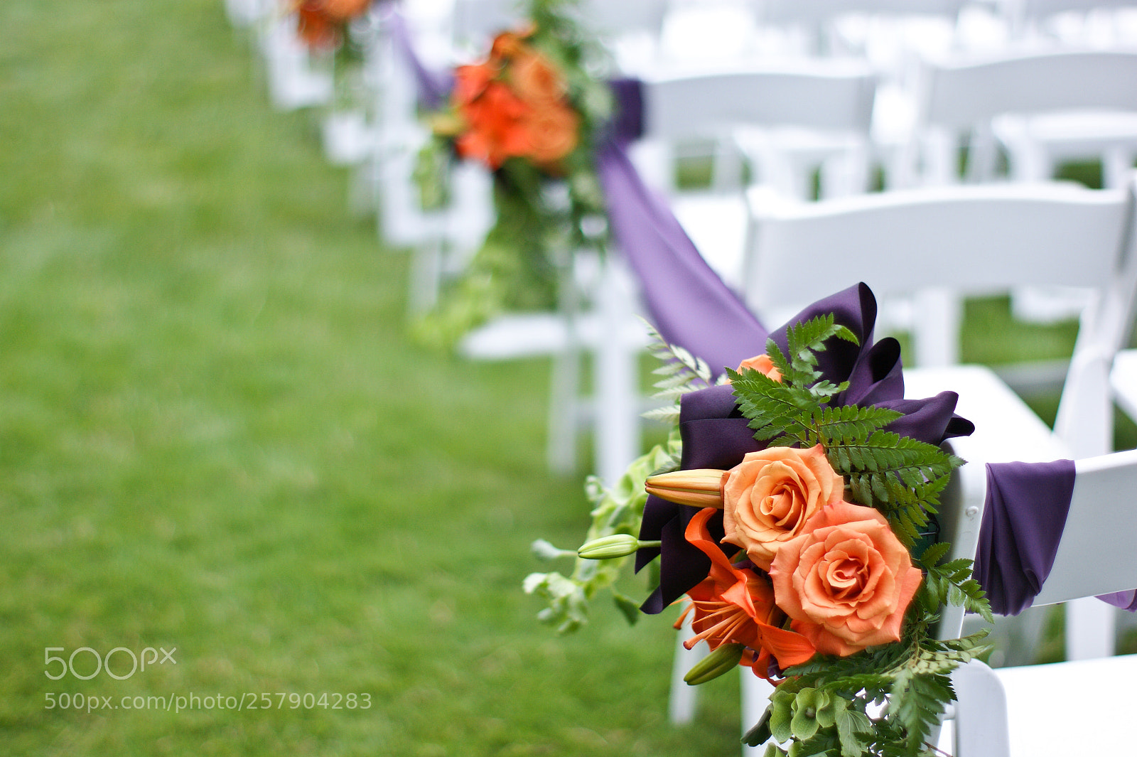 Sony Alpha DSLR-A350 sample photo. Arrangement photography
