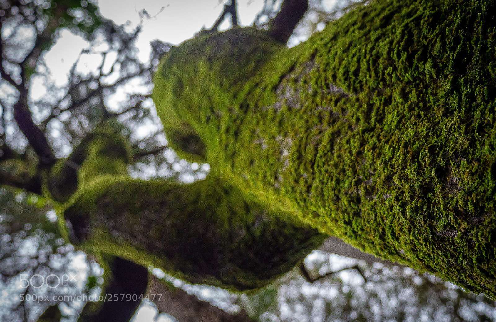 Panasonic Lumix DMC-GH3 sample photo. Ireland photography