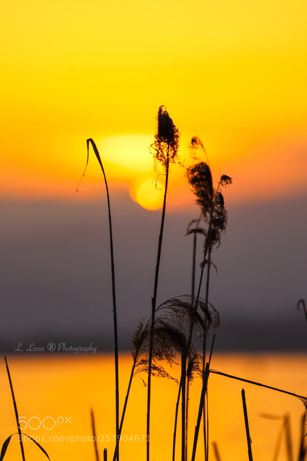 Canon EOS 6D Mark II sample photo. Caress of light 60 photography