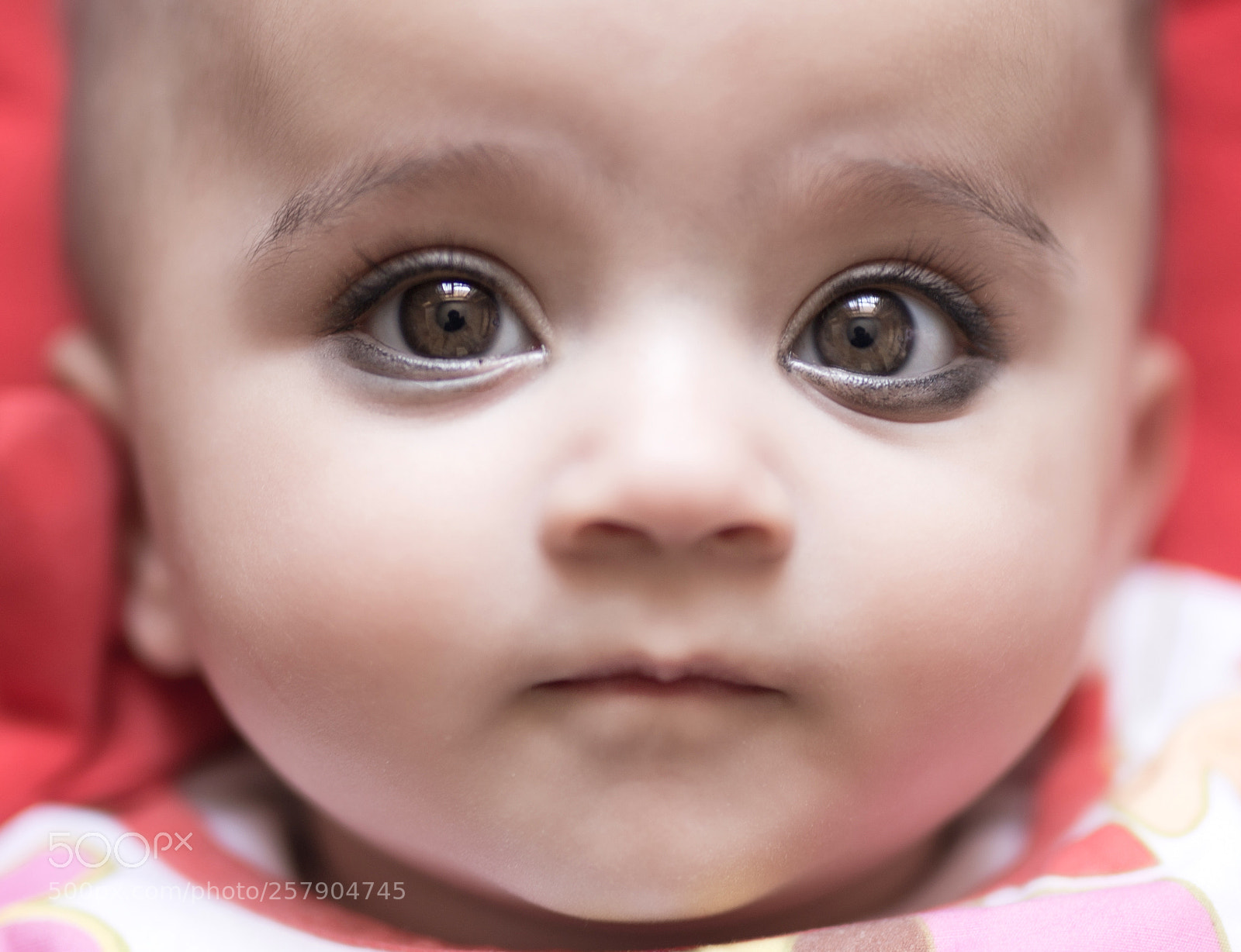 Canon EOS 6D sample photo. New life - hey photography