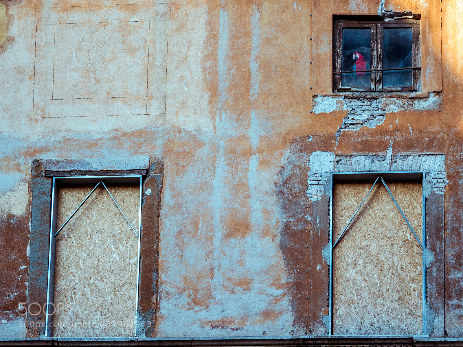 Olympus OM-D E-M1 Mark II sample photo. The inspector photography