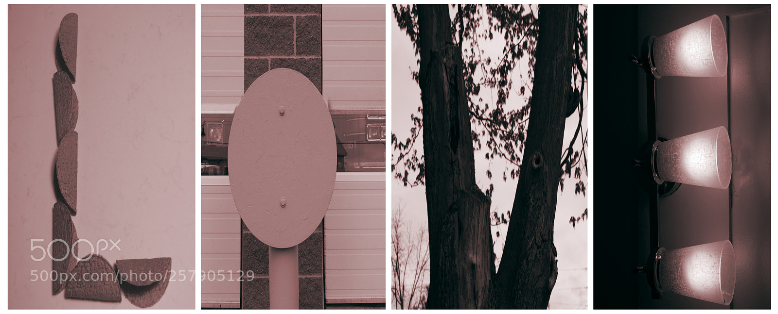 Nikon D3100 sample photo. Alphabet photography