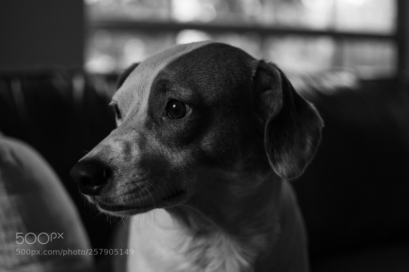 Nikon D3200 sample photo. Untitled photography