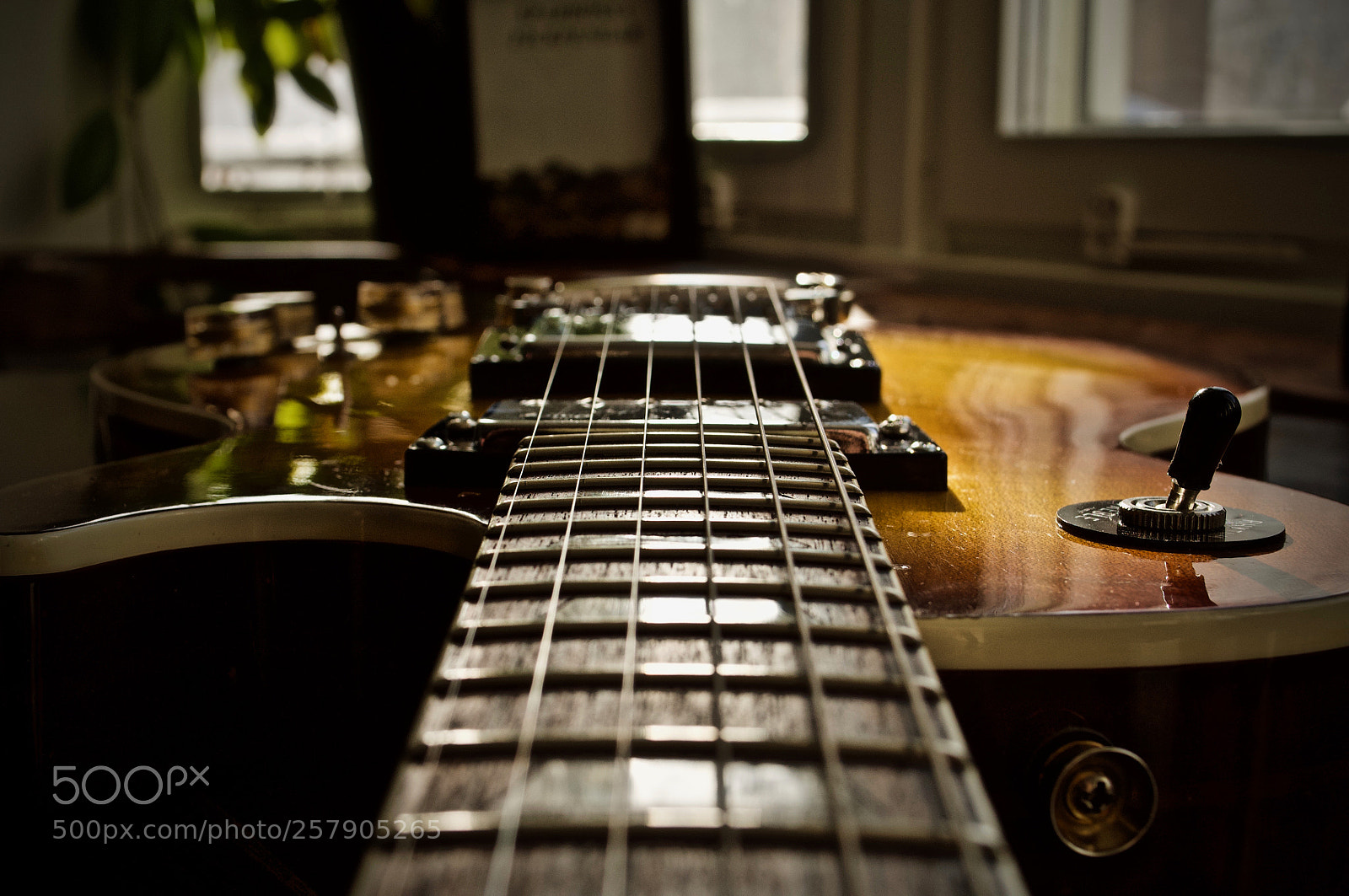 Nikon D90 sample photo. Play for the joy photography