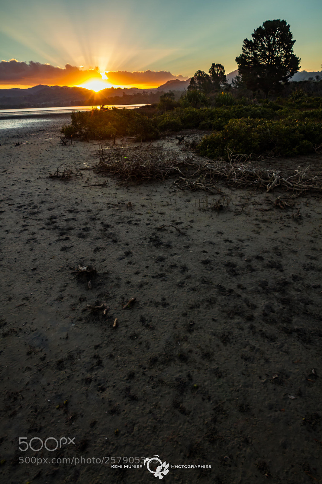 Canon EOS 7D sample photo. Sunset on the mangrove photography