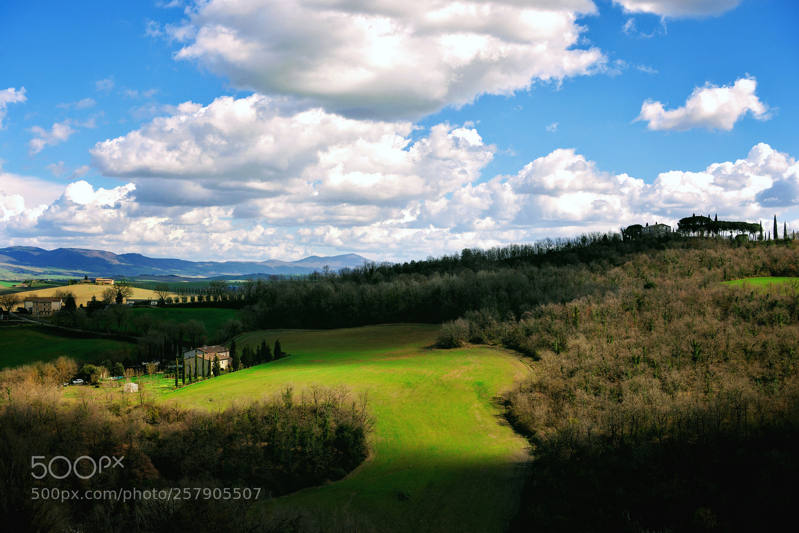 Nikon D610 sample photo. Campagna toscana photography