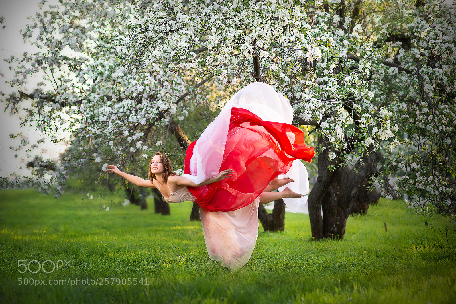 Nikon D600 sample photo. Gravity photography
