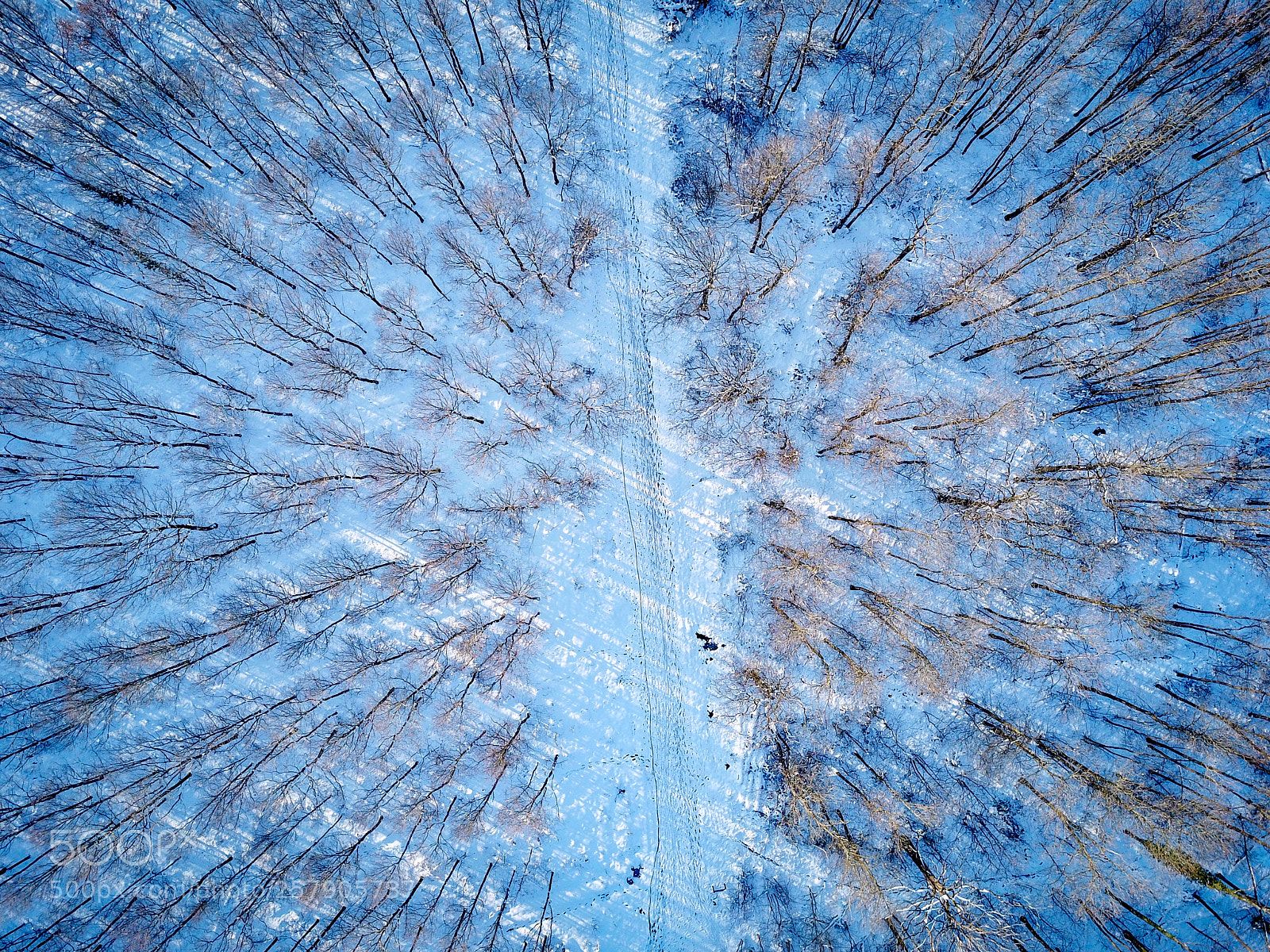 DJI FC220 sample photo. Winter sky forest photography