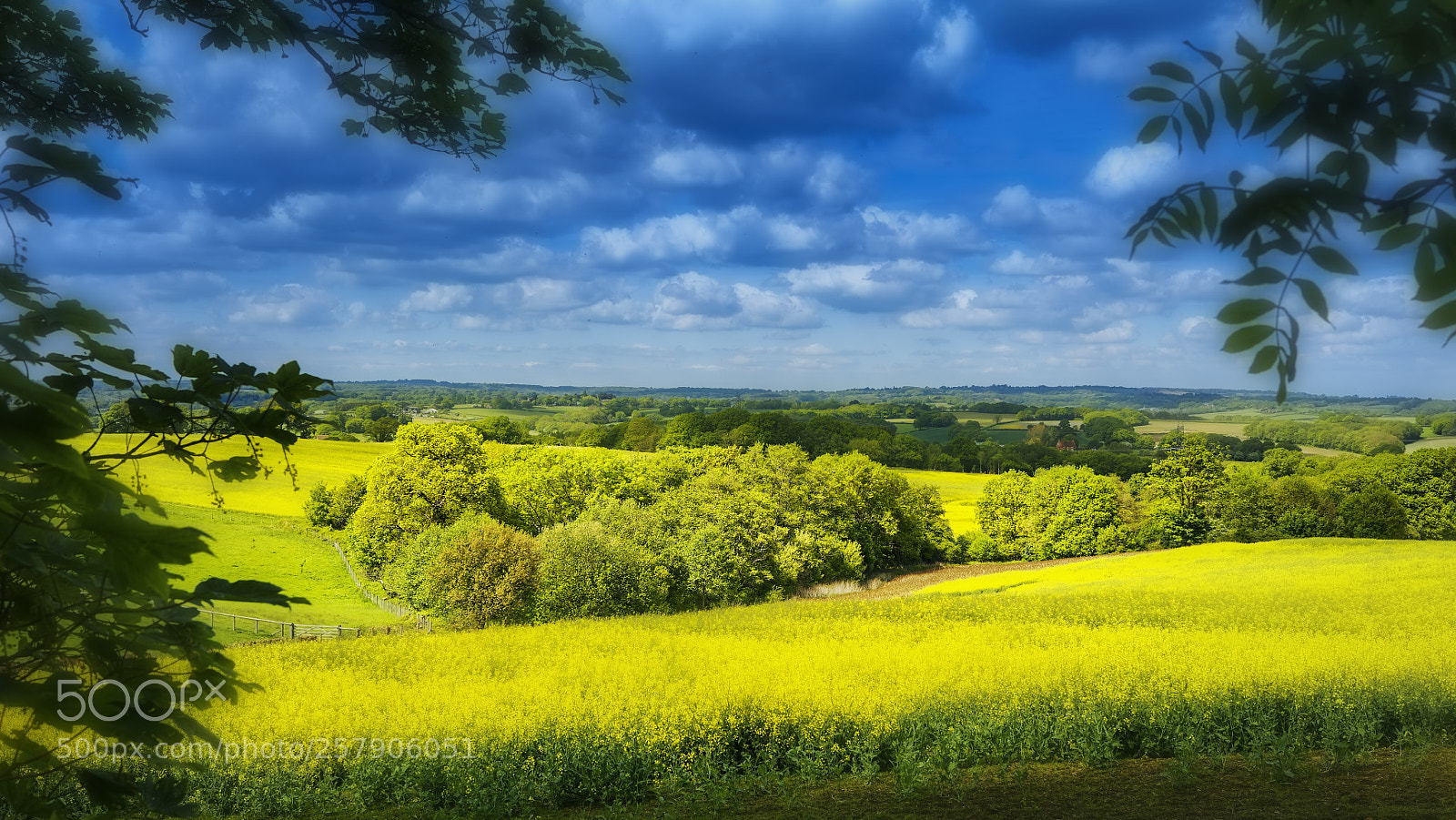 Canon EOS 5DS R sample photo. The garden of england photography