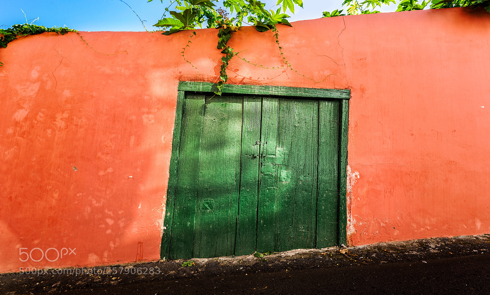 Canon EOS 6D sample photo. The green door photography