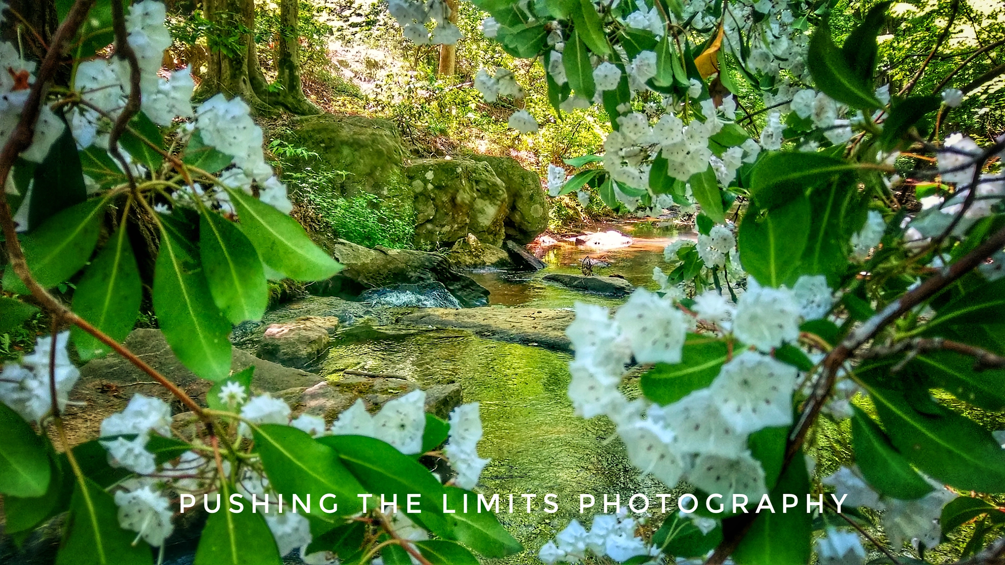 LG STYLO 2 sample photo. Secret garden photography