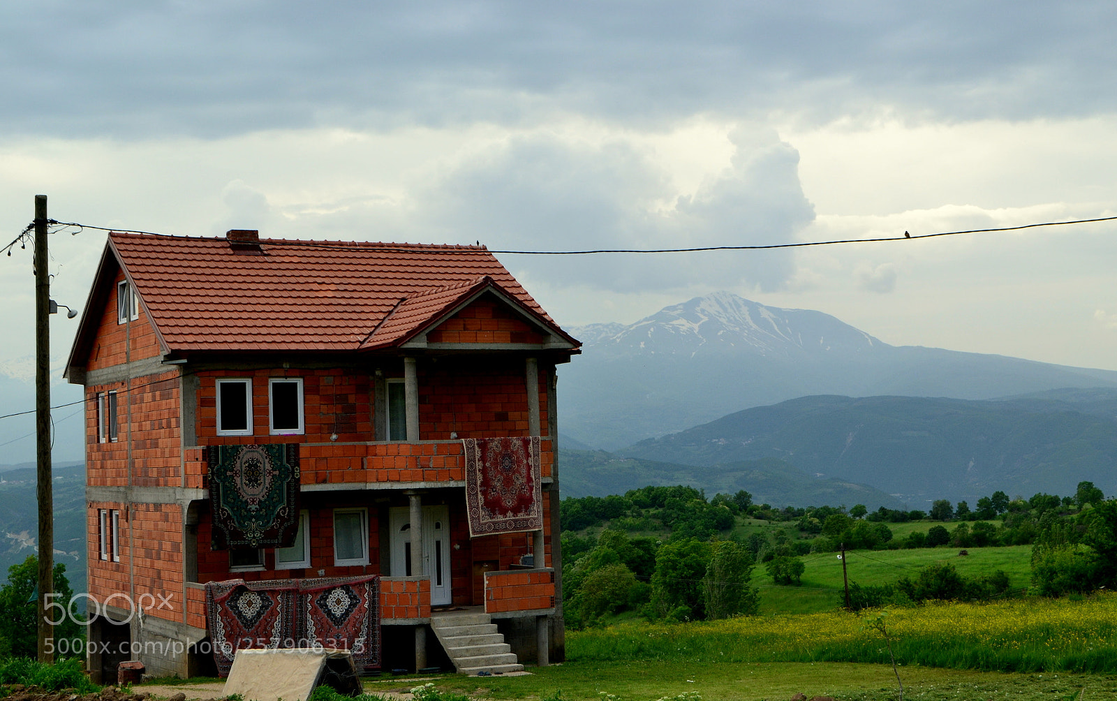 Nikon D3100 sample photo. Untitled photography