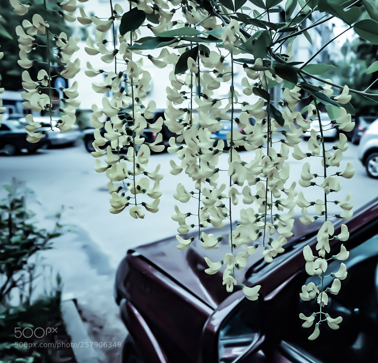 Fujifilm X-T10 sample photo. Вариант photography