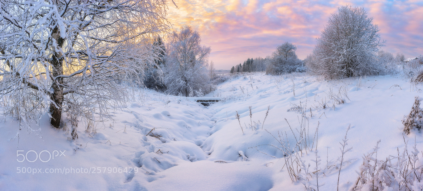 Nikon D610 sample photo. 922. winter in the photography
