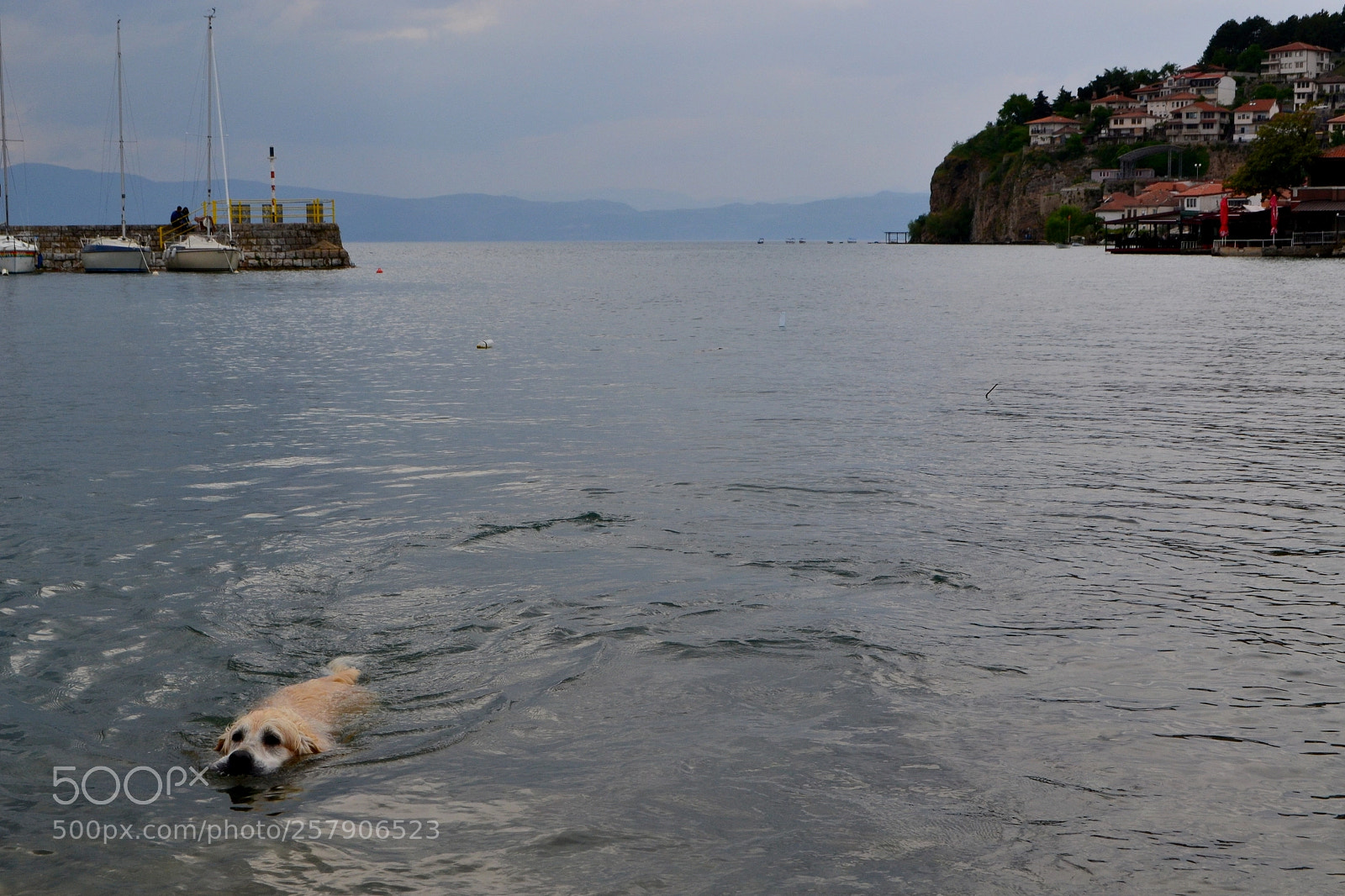 Nikon D3100 sample photo. Untitled photography