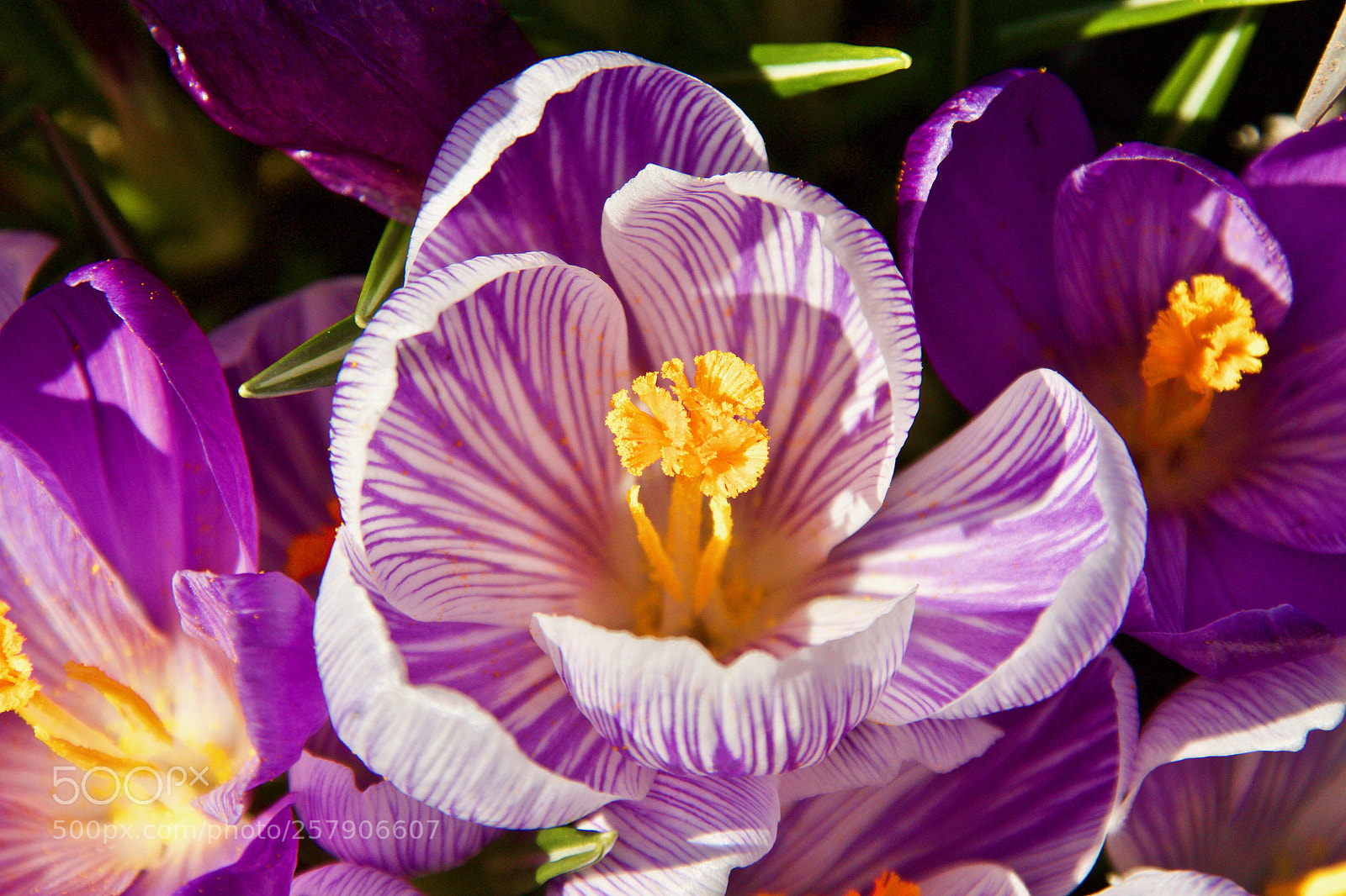 Canon EOS 7D sample photo. Patterns photography