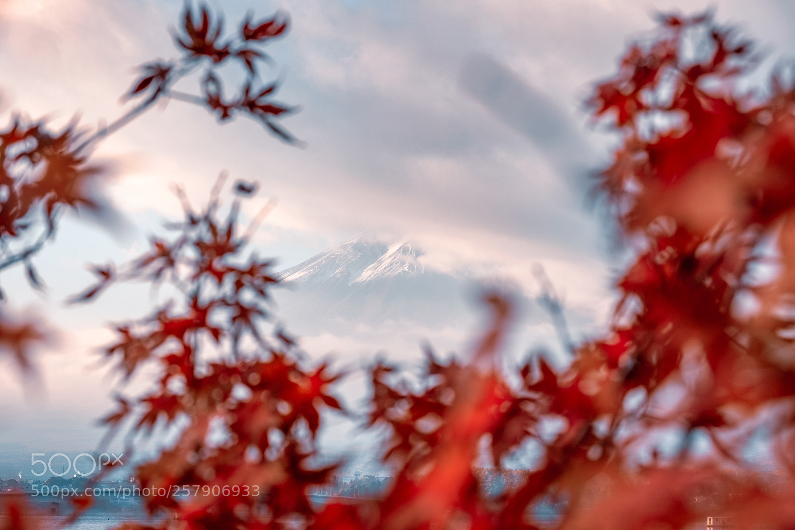 Fujifilm X-T2 sample photo. Fuji-san photography