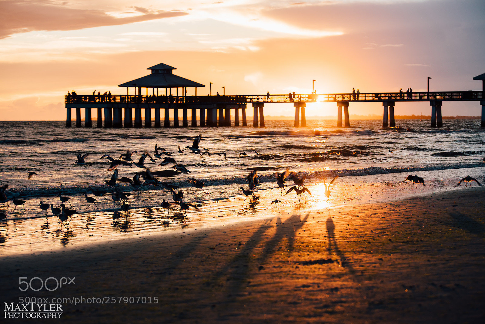 Nikon D750 sample photo. Fort myers beach photography