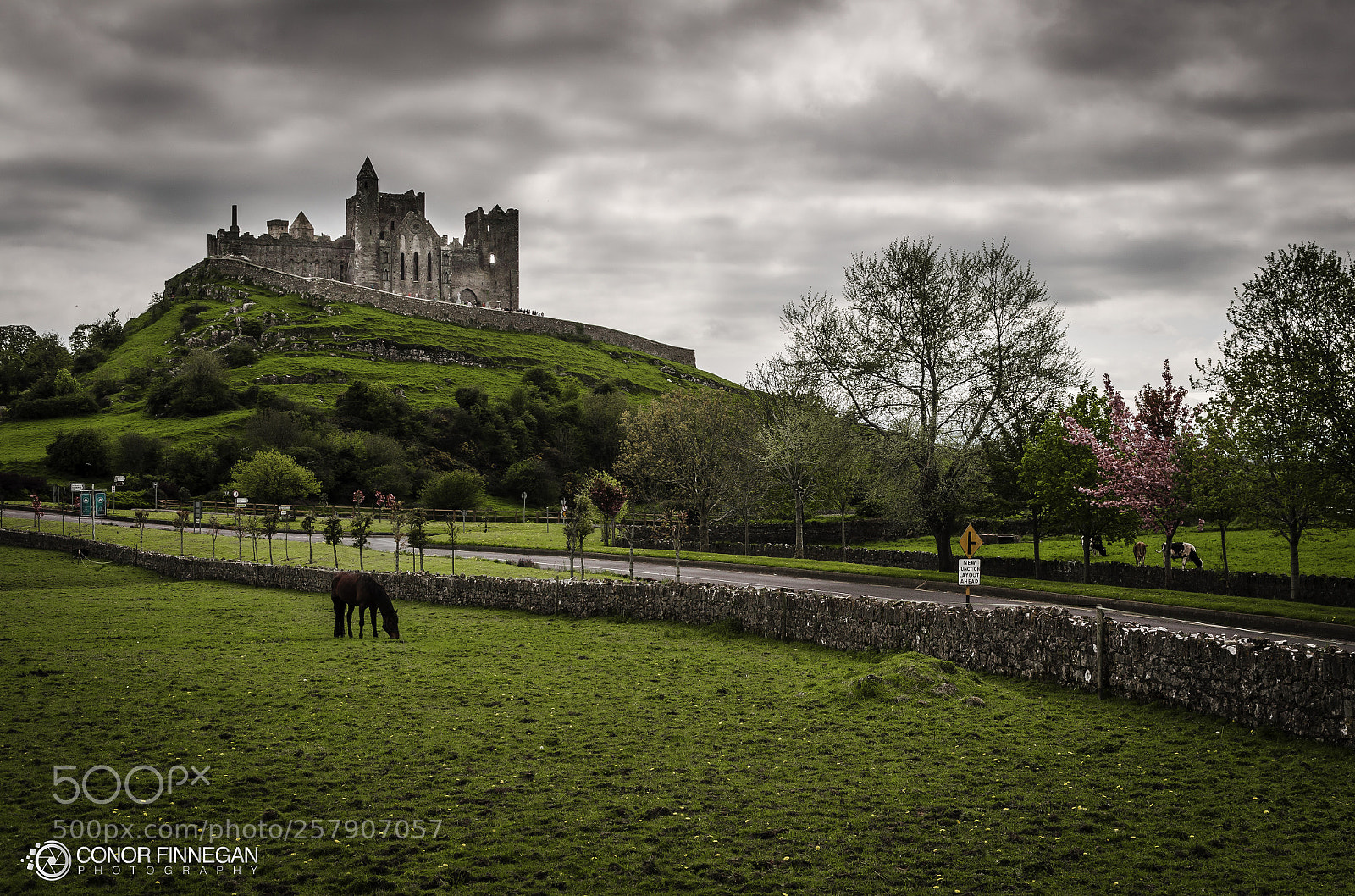 Nikon D5100 sample photo. Rock of cashel photography