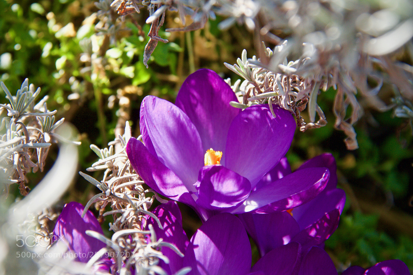 Canon EOS 7D sample photo. Hiding in the shadows photography