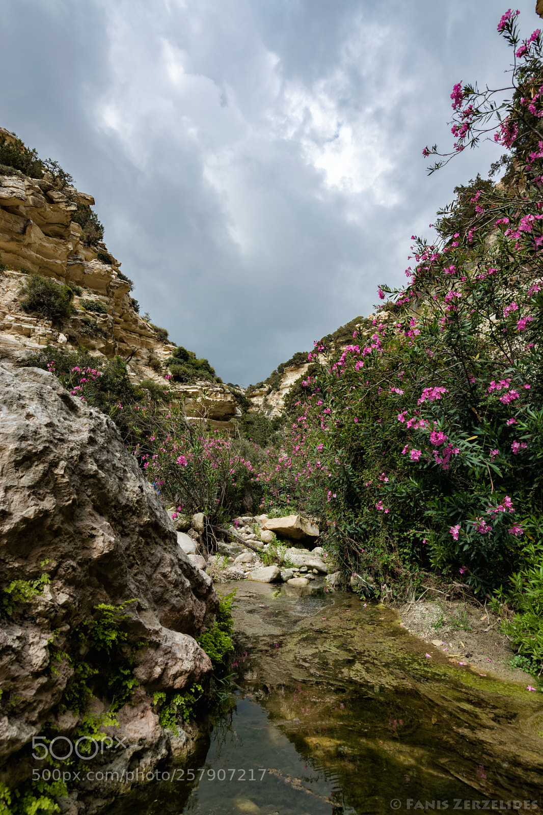 Nikon D5200 sample photo. Hiking in nature photography