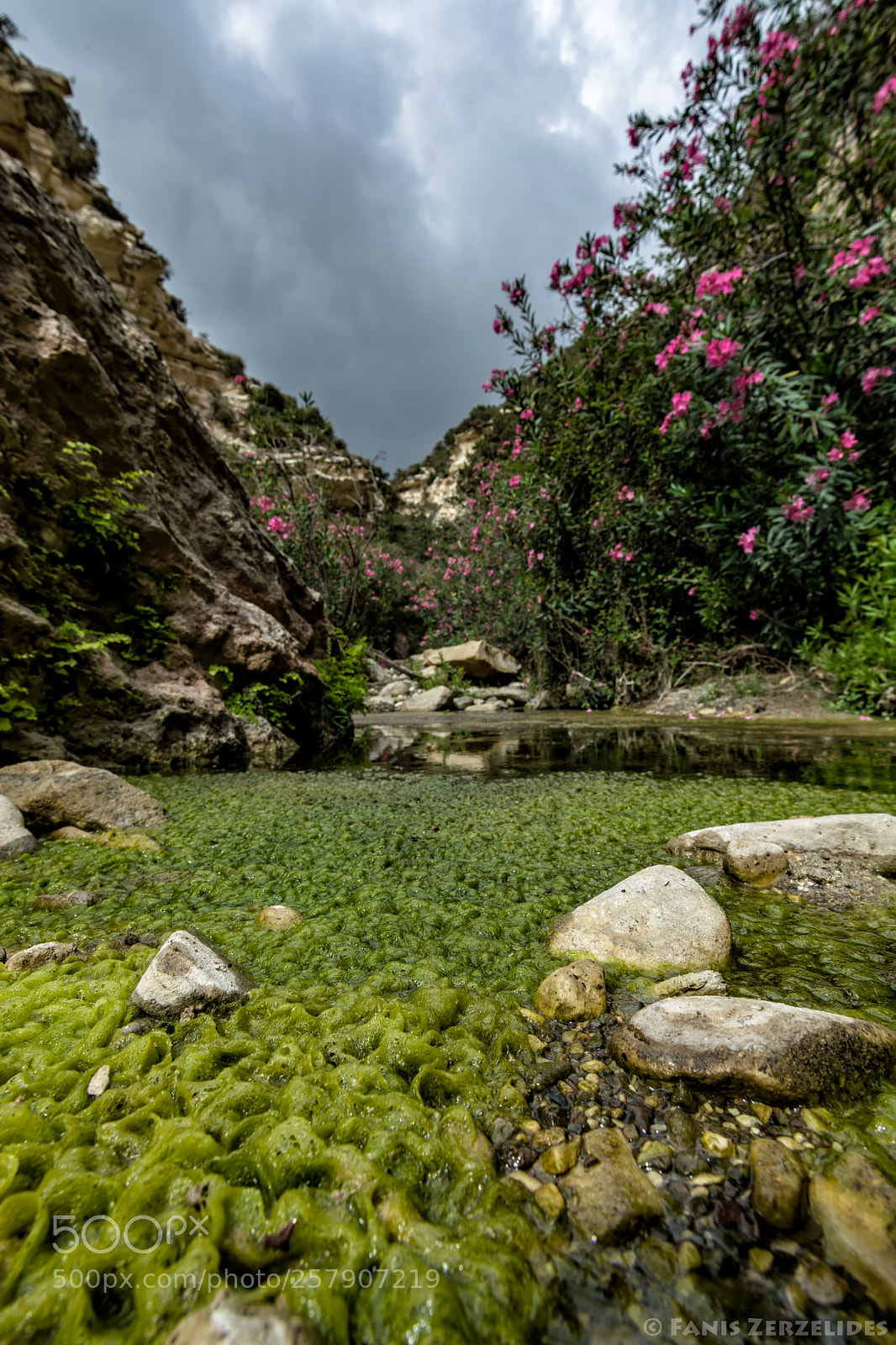 Nikon D5200 sample photo. Hiking in nature photography