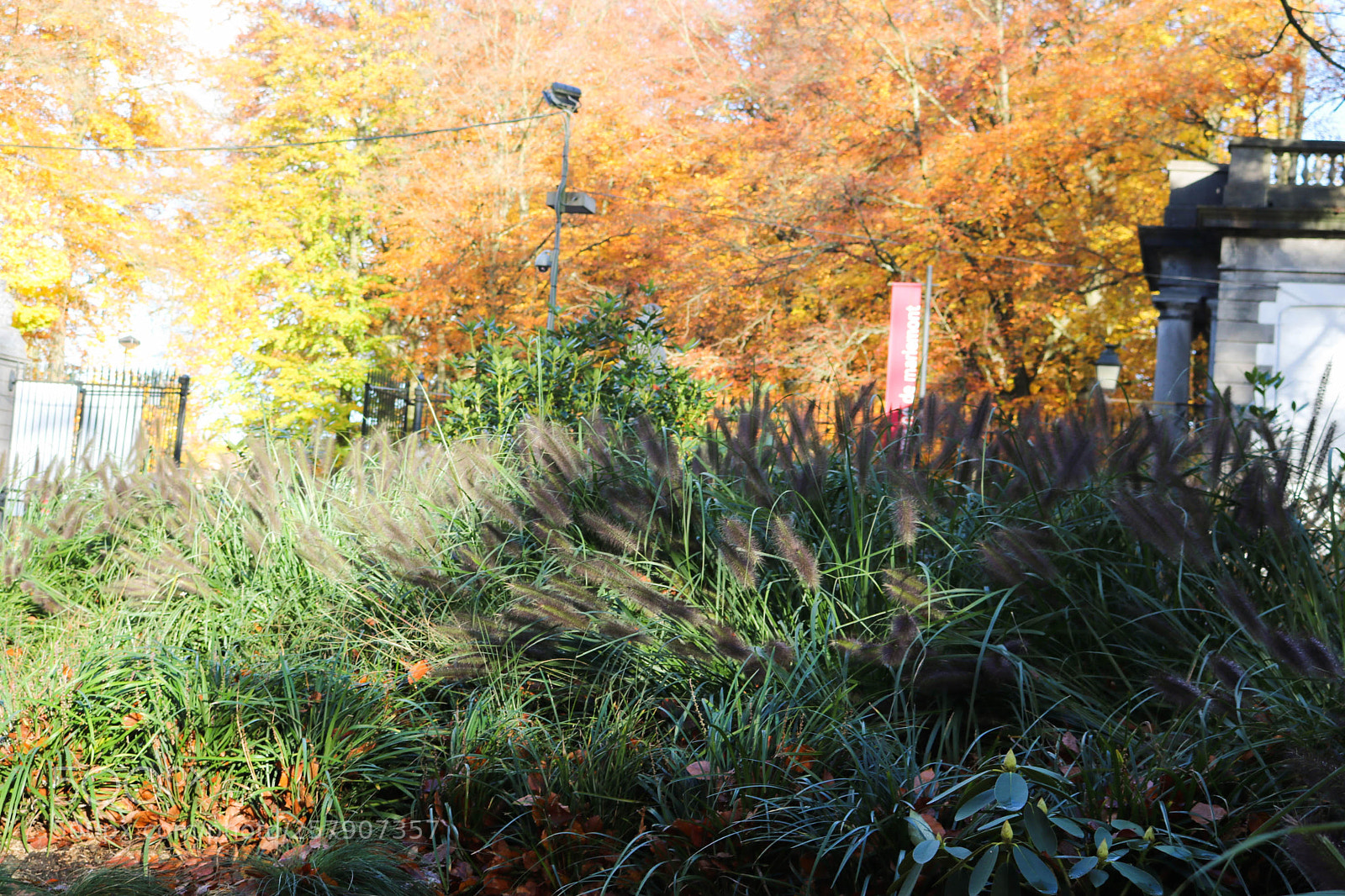 Canon EOS 750D (EOS Rebel T6i / EOS Kiss X8i) sample photo. Automn in belgium photography