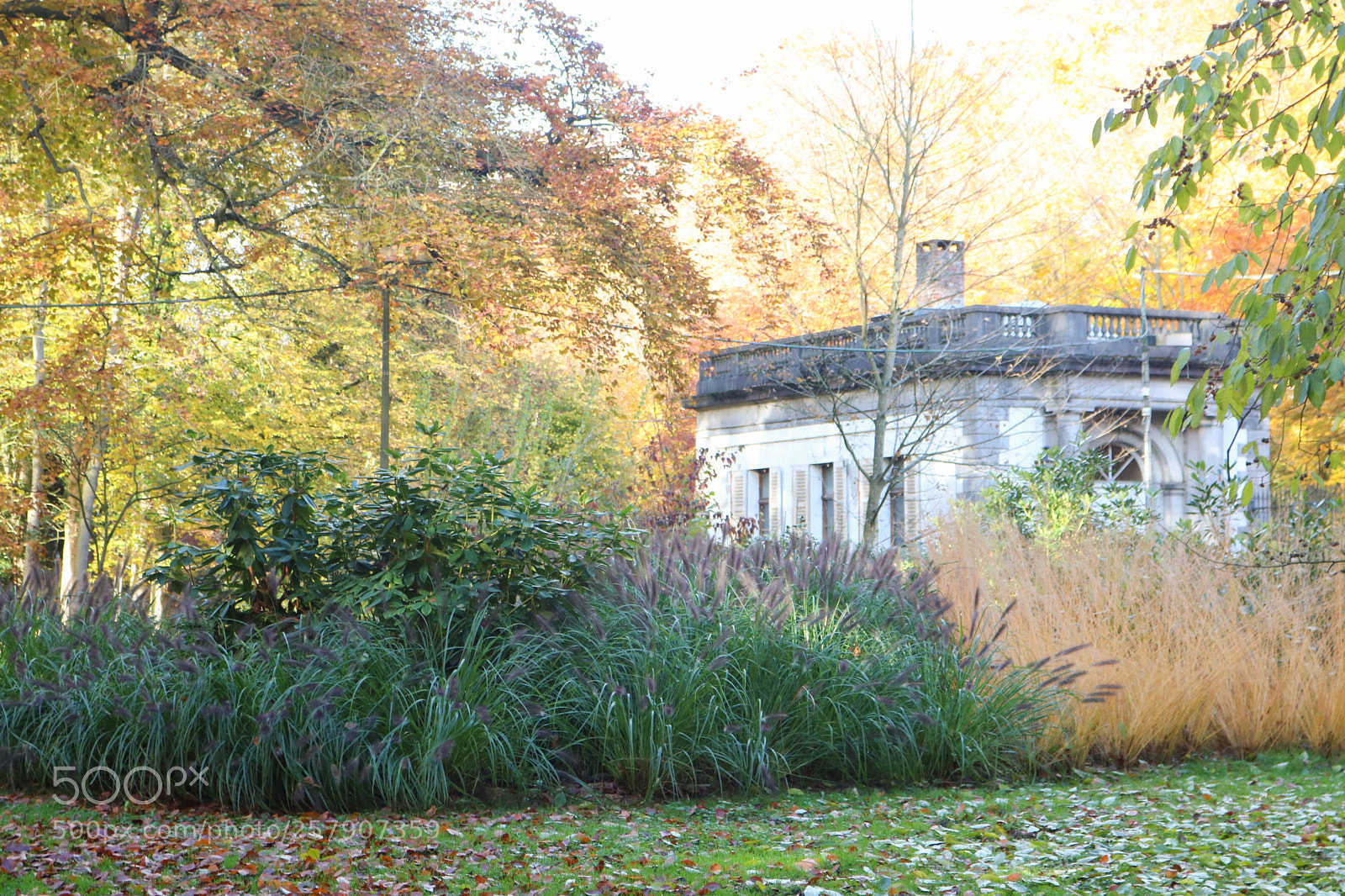 Canon EOS 750D (EOS Rebel T6i / EOS Kiss X8i) sample photo. Automn in belgium photography