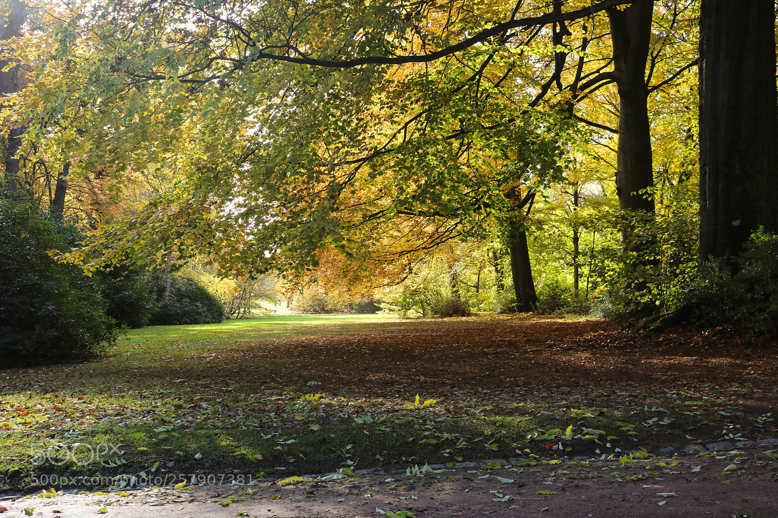Canon EOS 750D (EOS Rebel T6i / EOS Kiss X8i) sample photo. Automn in belgium photography