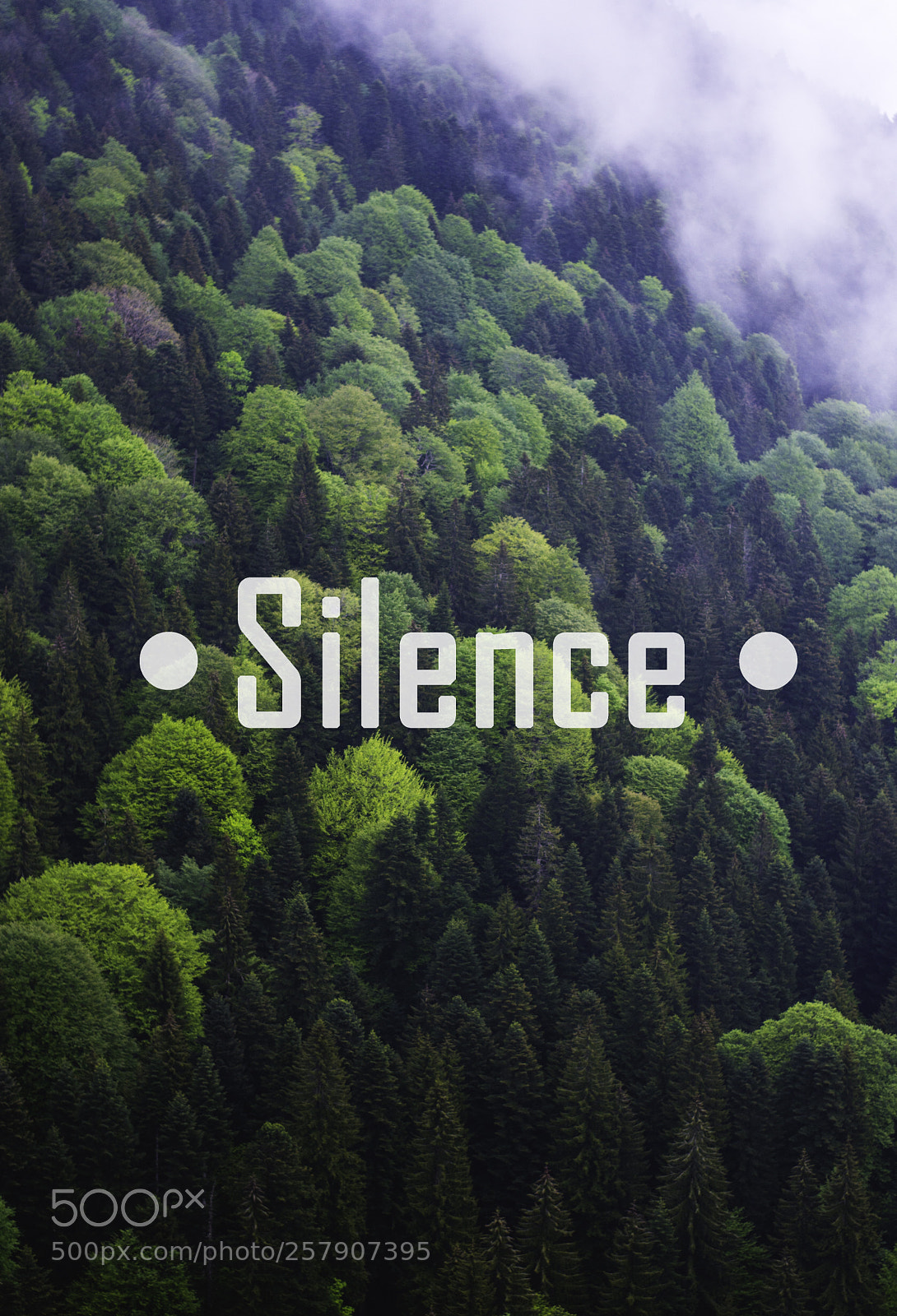 Nikon D7100 sample photo. Silence photography